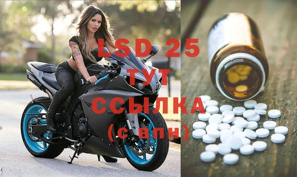 винт Аркадак