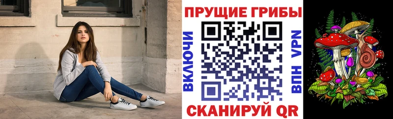 цена наркотик  Усть-Катав  Псилоцибиновые грибы мухоморы 